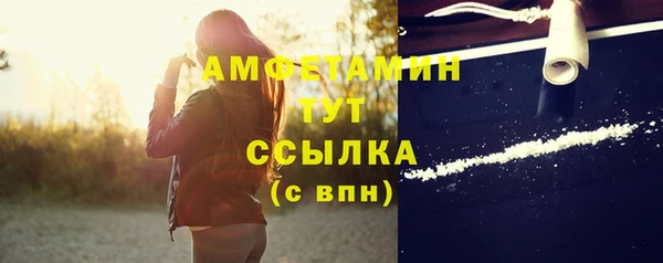 стаф Гусь-Хрустальный