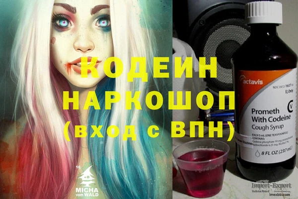 стаф Гусь-Хрустальный