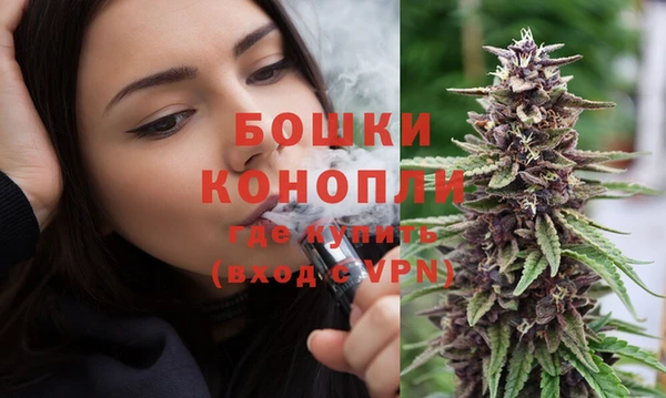 стаф Гусь-Хрустальный