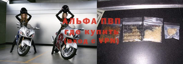 стаф Гусь-Хрустальный