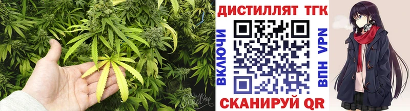 Дистиллят ТГК гашишное масло  Светлогорск 