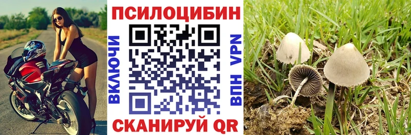 Галлюциногенные грибы Cubensis Светлогорск